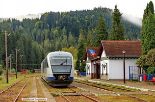 IMG_9005_DxO.jpg
