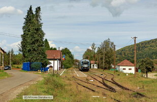 IMG_9077_DxO.jpg