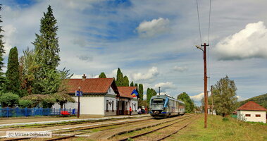 IMG_9091_DxO.jpg