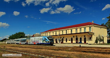 IMG_9099_DxO.jpg