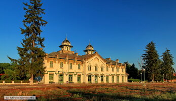 IMG_1707_DxO.jpg