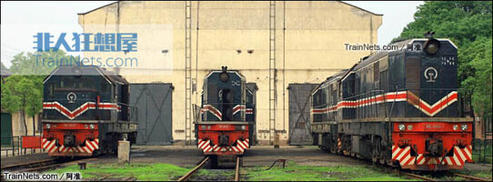 ND3-wenjun-01.jpg