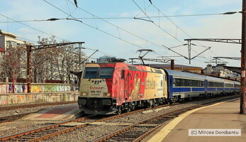 IMG_7460_DxO.jpg