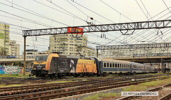 IMG_7831_DxO.jpg