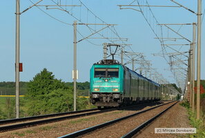 IMG_8775_DxO.jpg