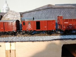 IMG_20210704_202729_1.jpg