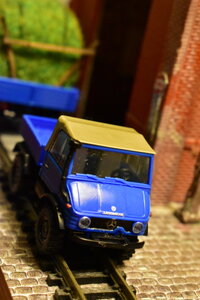 DSC_0681.JPG