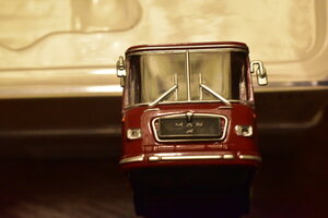 DSC_1100.JPG