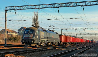 IMG_7330_DxO.jpg