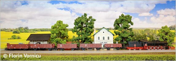 DSC_6044.jpg