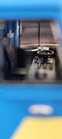6.jpeg
