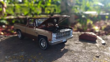IMG_20220521_180153.jpg