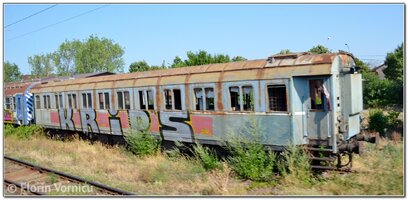 DSC_9588.jpg