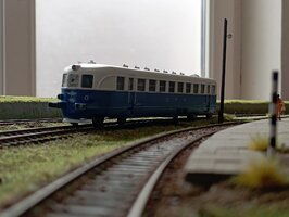 IMG_20220815_112352.jpg