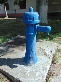 DSC03820.JPG