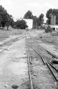 Linii inguste Dobrogea - Mircea Dorobanțu, directorul Muzeului CFR (2).jpg