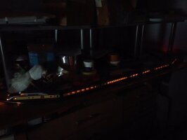 IMG_20231013_235411.jpg