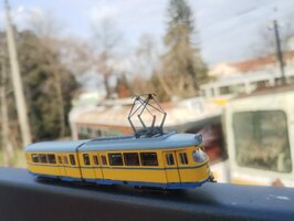 IMG_20240219_144735380.jpg