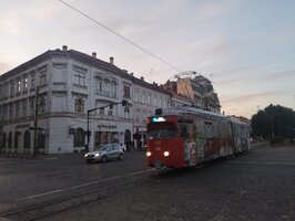 IMG_20230731_210451691.jpg