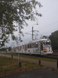 IMG_20230528_194426444.jpg