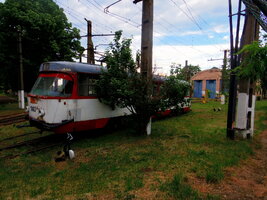 IMGP0302.JPG