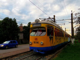 IMGP0290.JPG