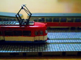 IMGP9774.JPG