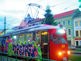 IMGP9901.JPG