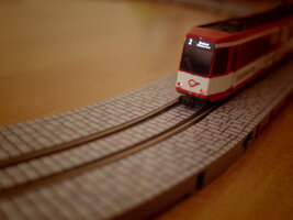 IMGP0510.JPG