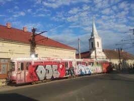 IMG_20240804_190530408.jpg