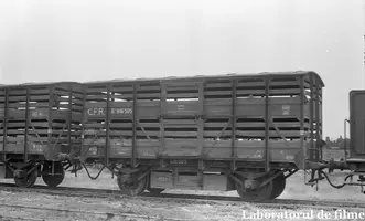 EF 816505.webp