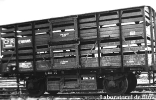 EF 811605.webp EF 811605.webp
