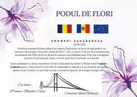 Festivalul Podul de Flori (1).webp